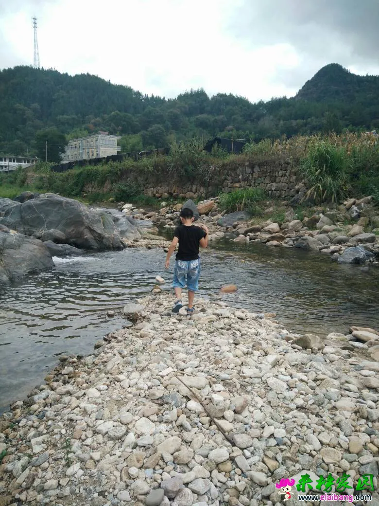 112901pjbixlbl4qlibx38.webp