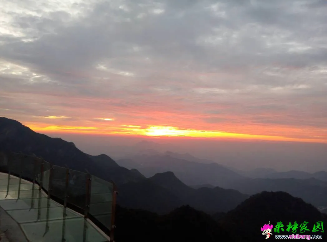 061725r9c1j81s9cwcwsis.webp