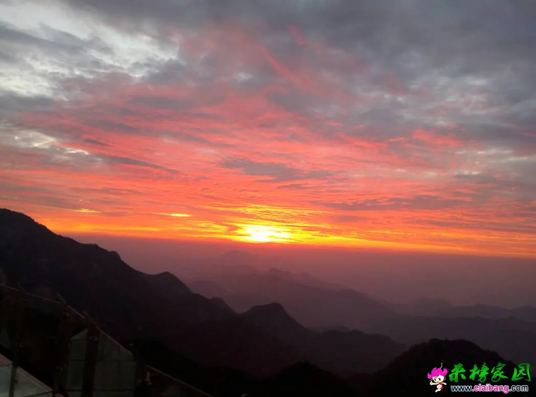 061726wzddgc1lgqiv8dd8.webp