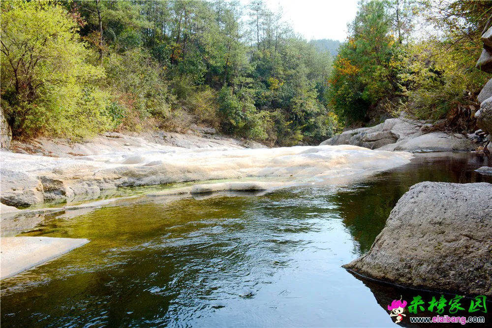 DSC_9453.webp
