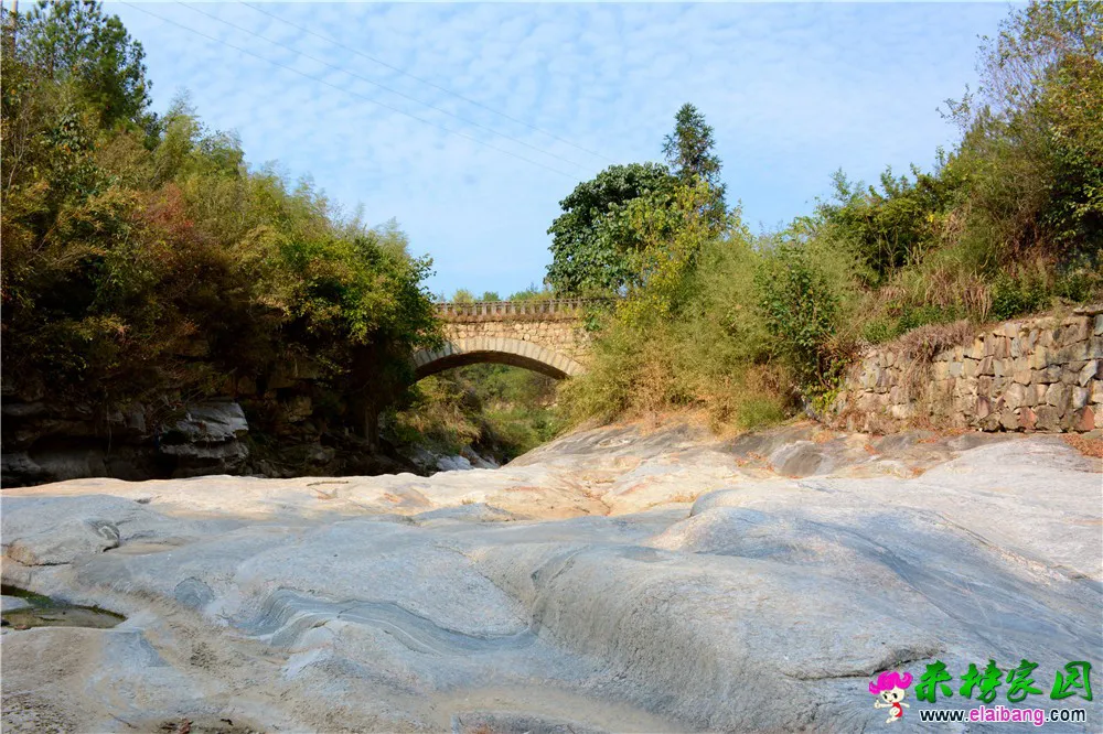 DSC_9455.webp