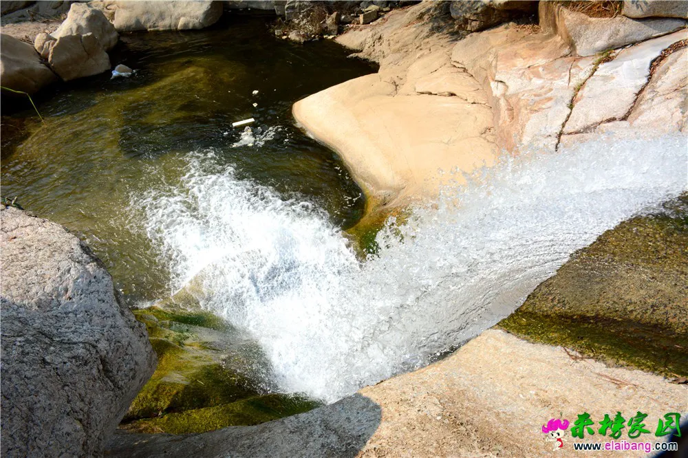 DSC_9462.webp