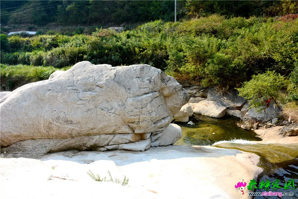 DSC_9461.webp