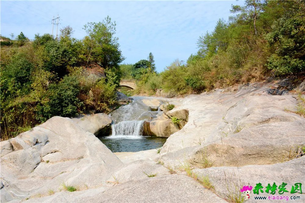 DSC_9469.webp