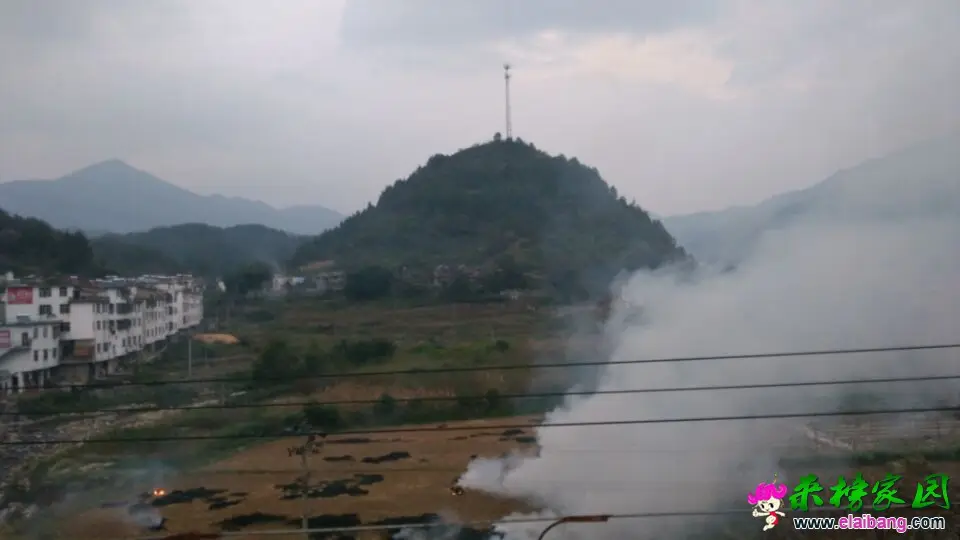 QQ图片20160924183115.webp