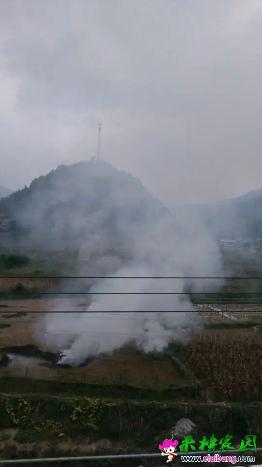 QQ图片20160924183110.webp