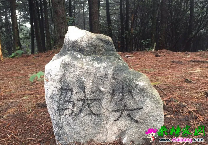 @EPI9BN[UEG](_K%}5(J3[Y.webp
