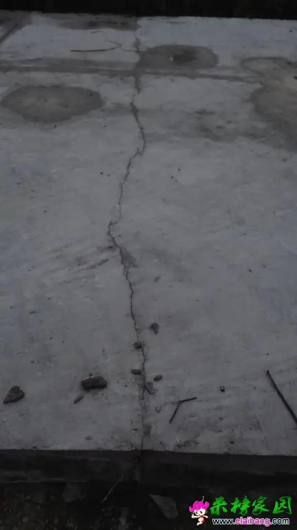 185431xpedpvrzrzlxbnxn.webp