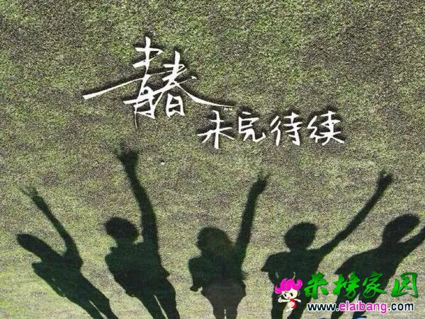 QQ图片20160928064557.webp