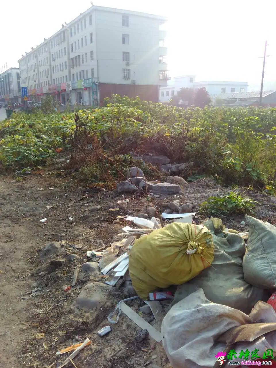 来榜家园_20160927_113504.webp
