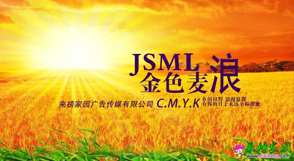 0020033000423321_b.webp