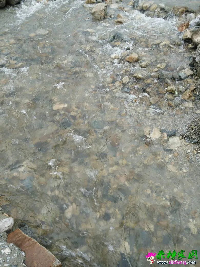 134246si598oi2p8r89uk8.webp