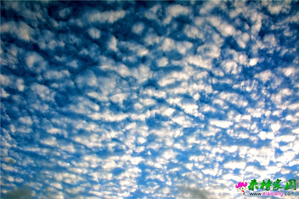 DSC_9926.webp