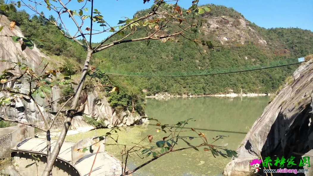 145801bwtztpzcuncyc622.webp