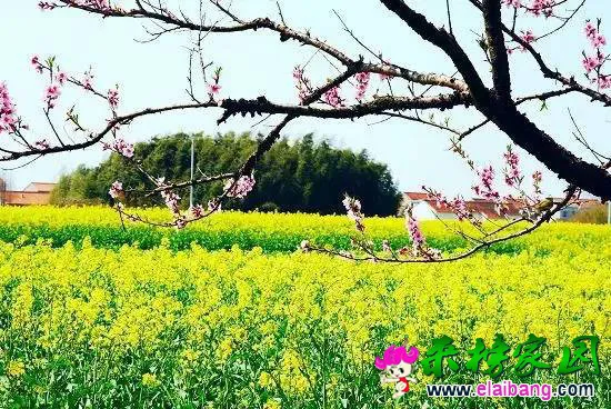 84f48c021819f3c7af1d4243fcd1869c.webp