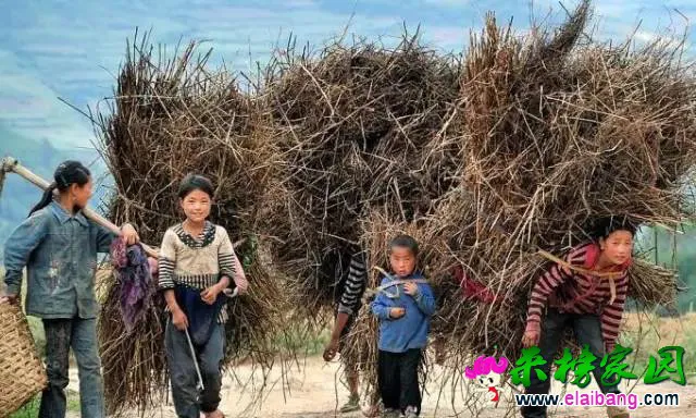 ff3bdff273785b854ef52efc9f955421.webp