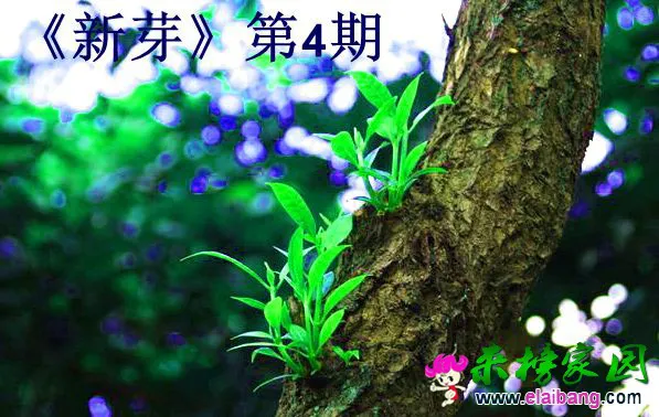 3559532_132802038763_2.webp