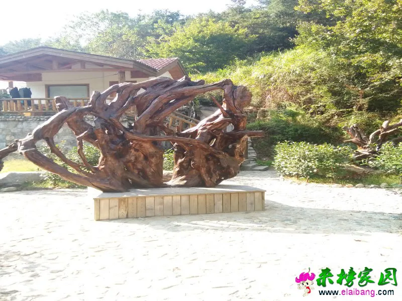 IMG20161004150552.webp