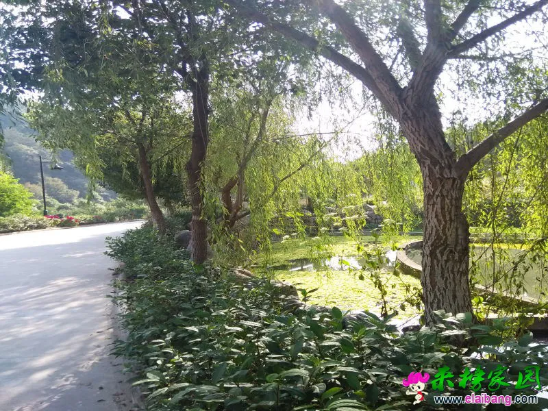 IMG20161004150522.webp