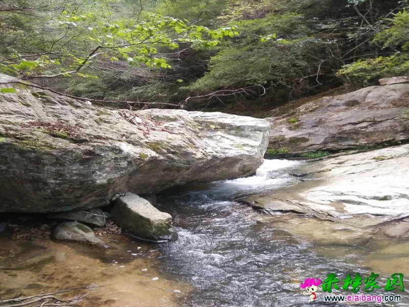 IMG20161004154539.webp