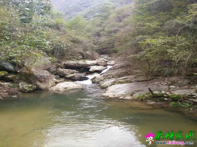IMG20161004155245.webp