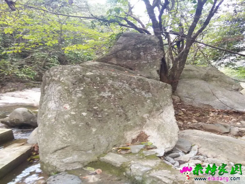 IMG20161004155848.webp
