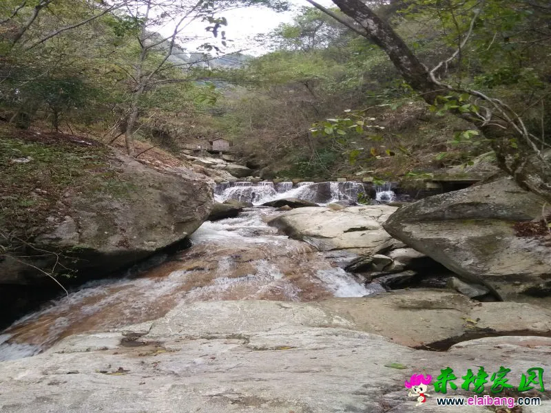 IMG20161004160026.webp