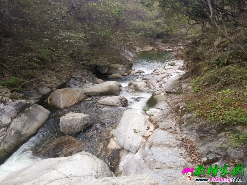 IMG20161004161057.webp