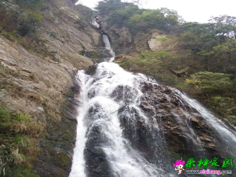 IMG20161004164510.webp