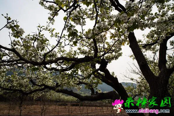 QQ截图20161006103732.webp