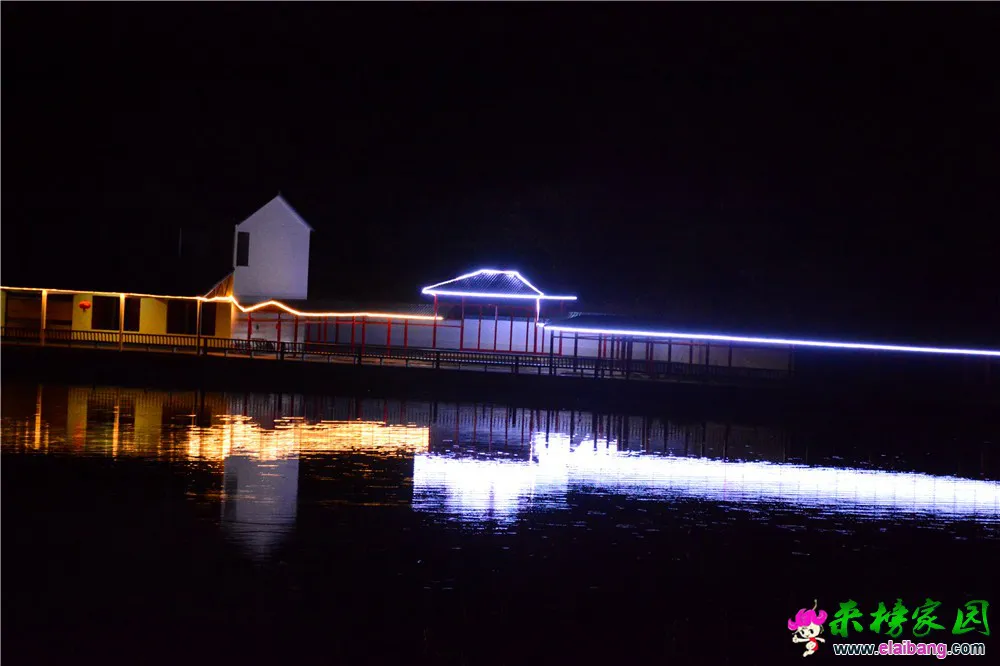DSC_9727.webp