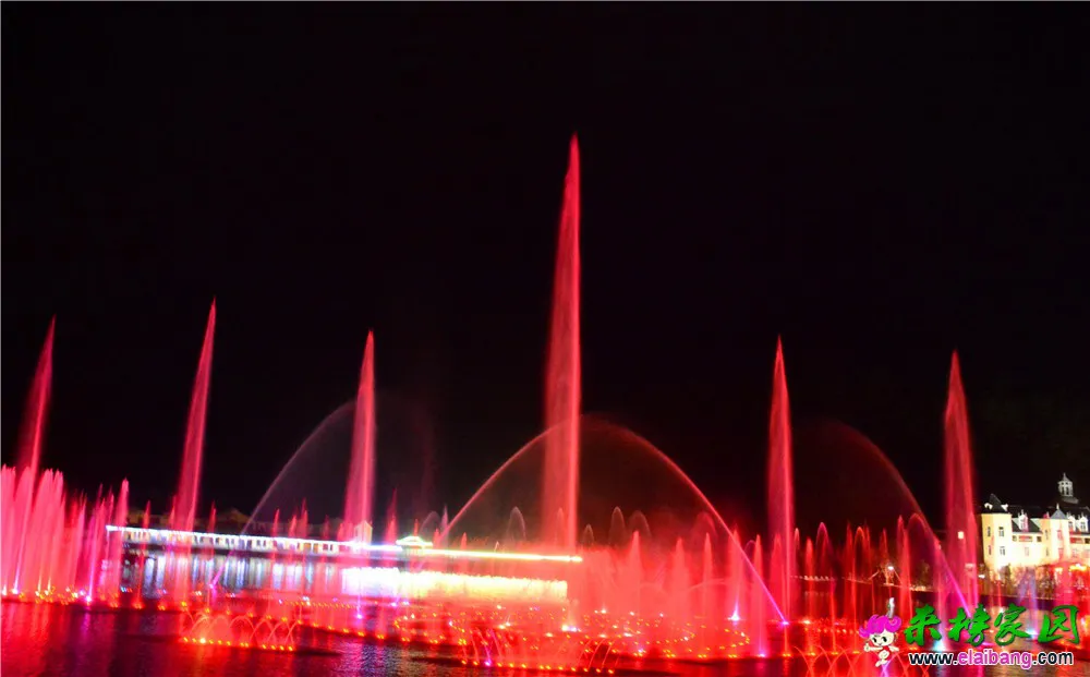 DSC_9764.webp