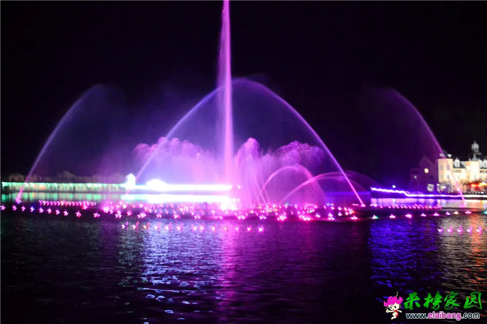 DSC_9771.webp