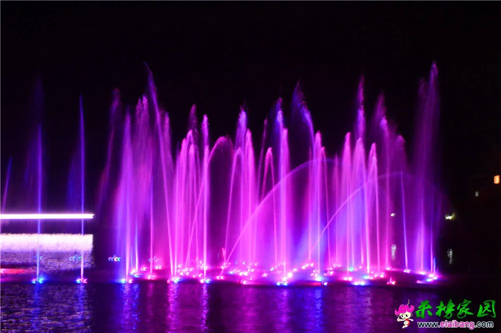 DSC_9776.webp