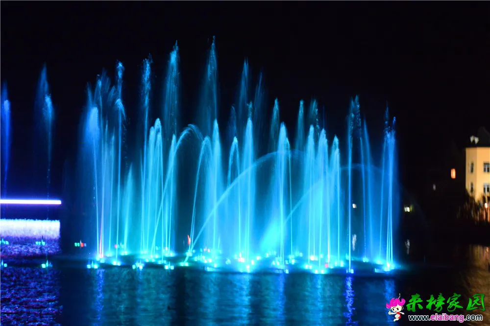 DSC_9775.webp