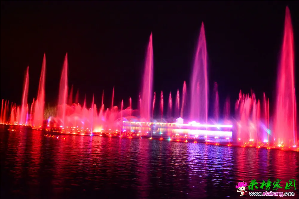 DSC_9778.webp