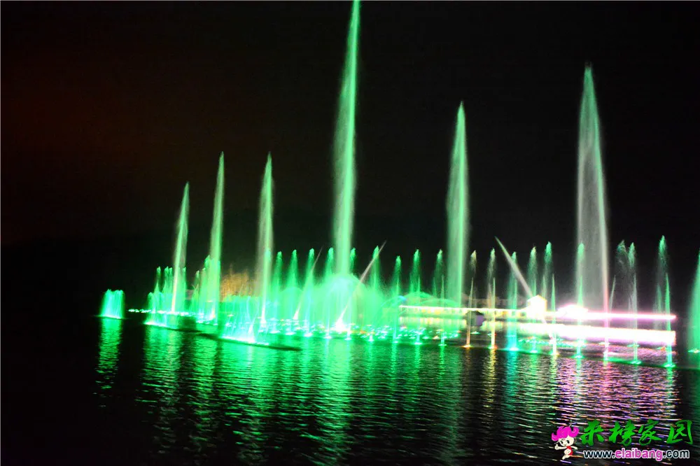 DSC_9779.webp
