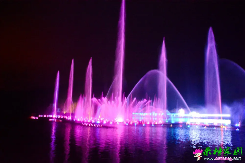 DSC_9790.webp