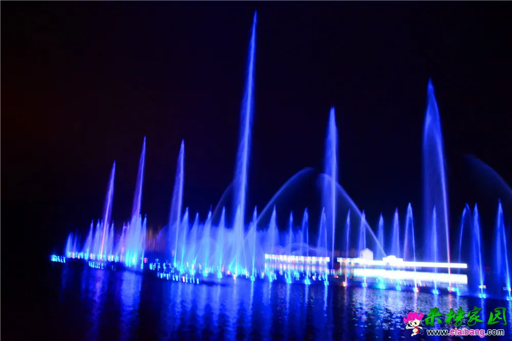 DSC_9786.webp