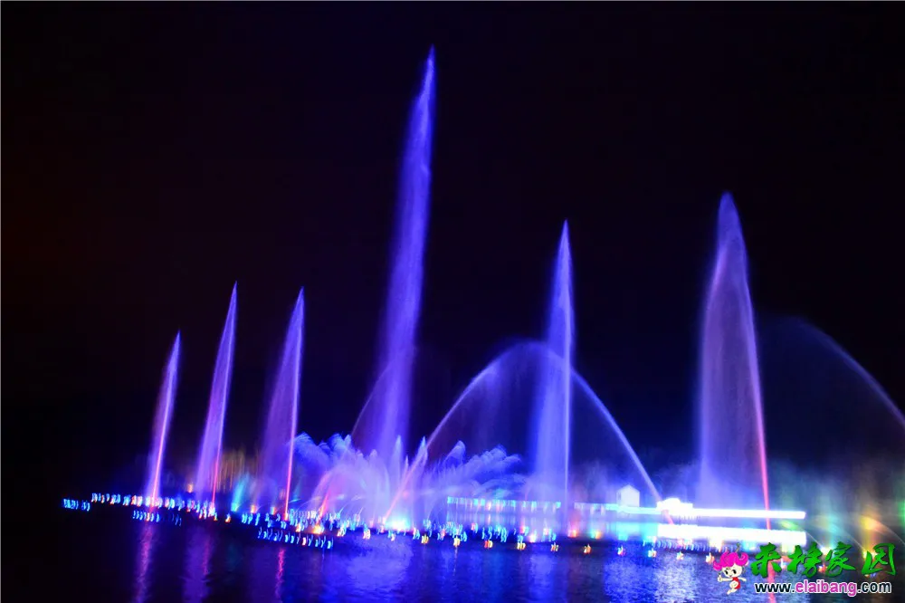 DSC_9791.webp