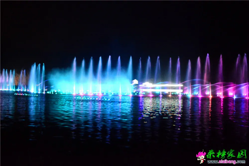 DSC_9794.webp