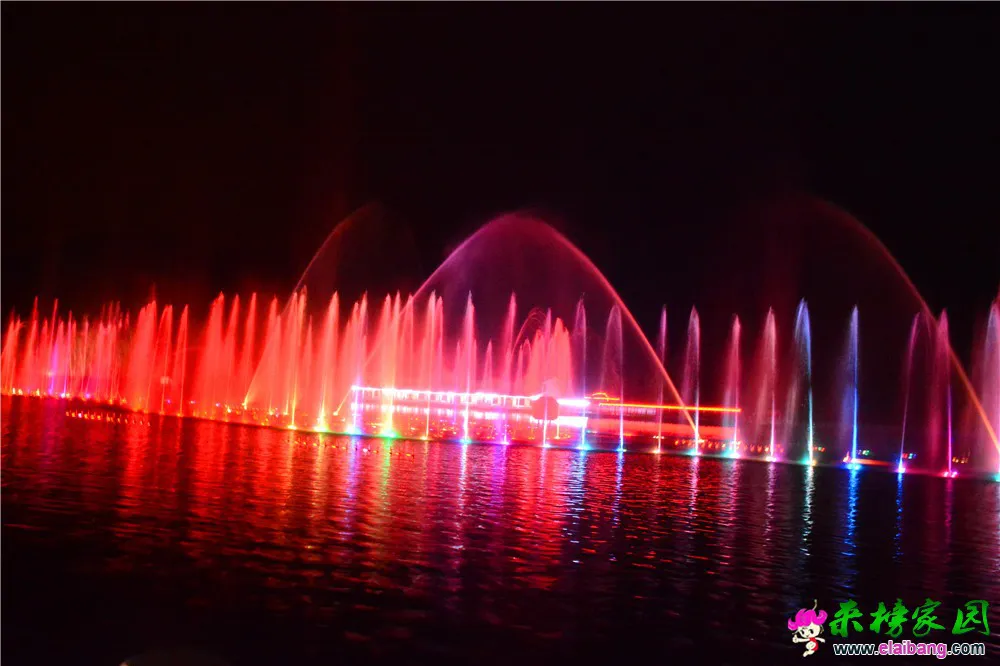 DSC_9801.webp