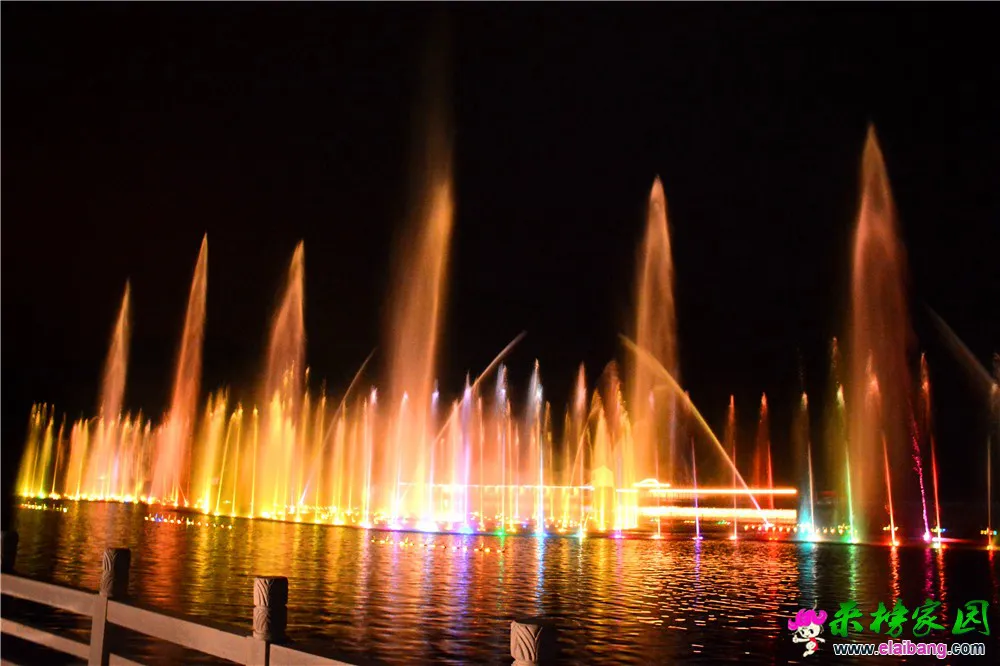 DSC_9800.webp