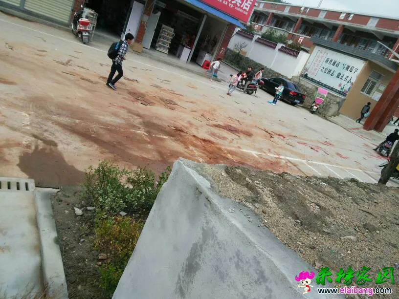 085203gtax9qfxjy6afsnq.webp