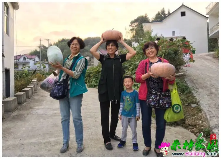 国庆期间太平村石门山体验游格外红火