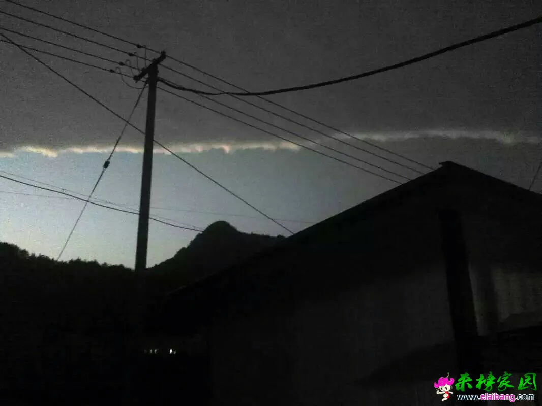 113824sj008tgf9qic0i00.webp