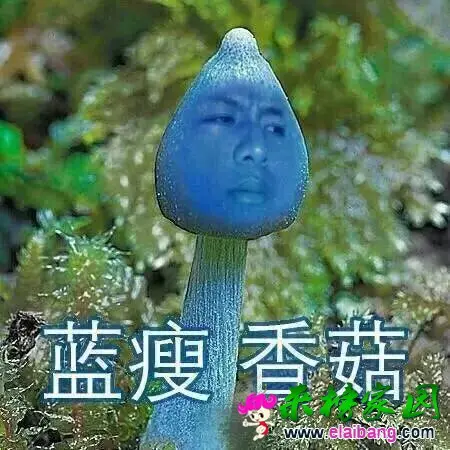 a3cc34afe06d7f7c812ea32d9f27f693.webp