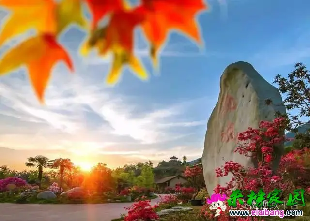 aa781786fb16e74067c636c1033f994a.webp