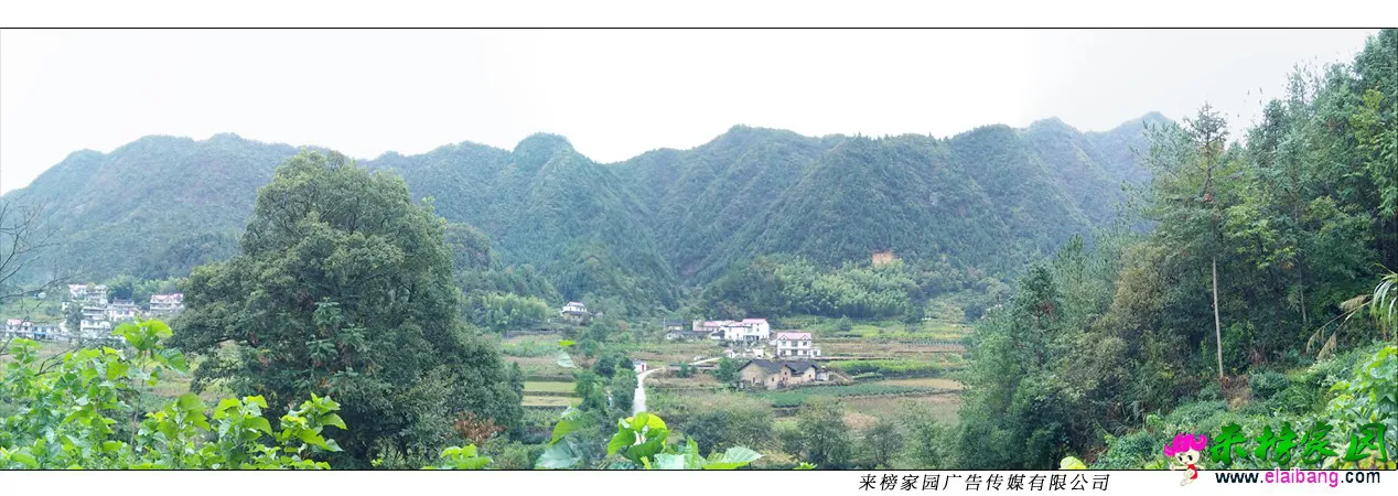 未标题_全景图1.webp