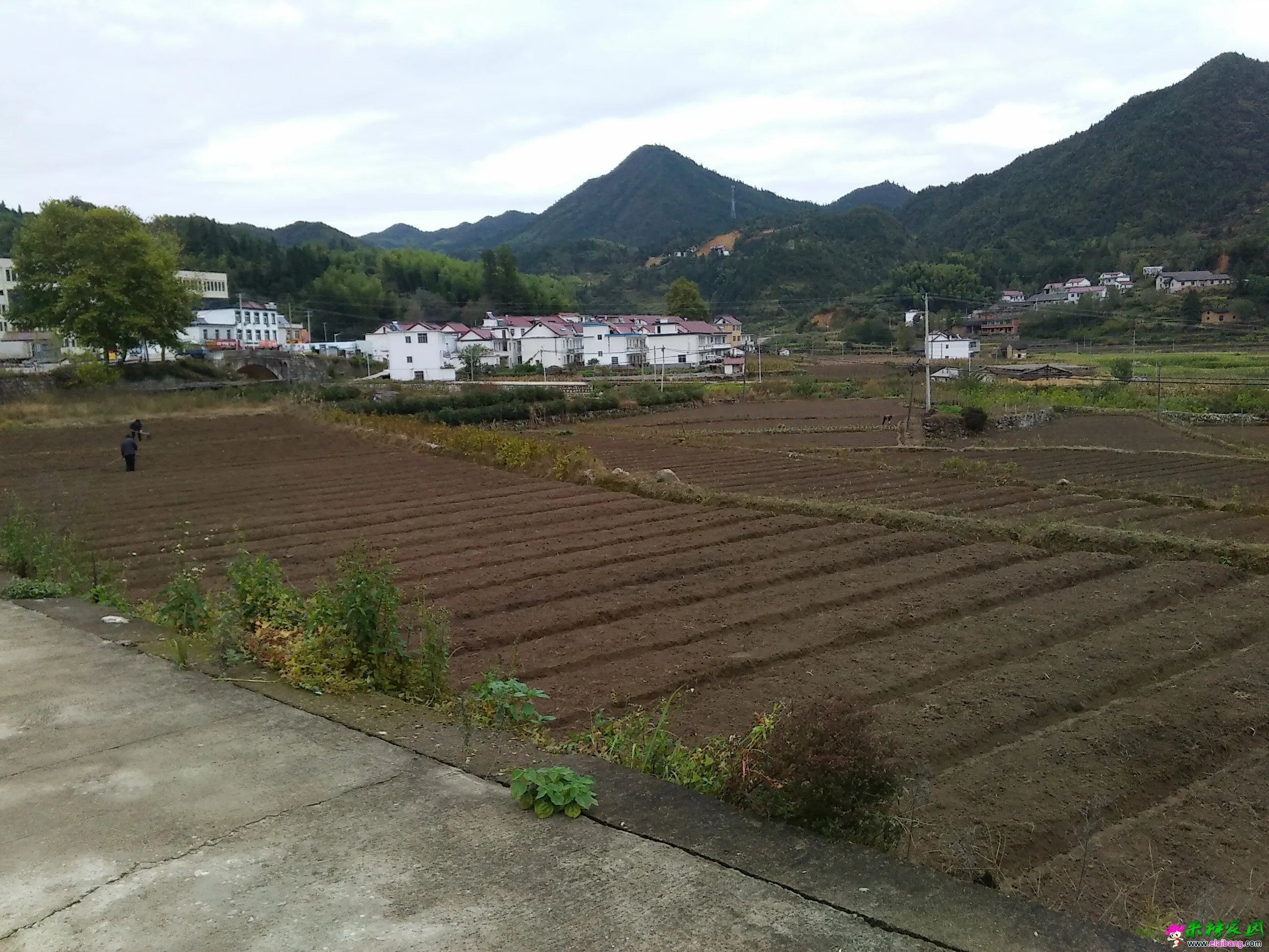 IMG20161012151643.webp